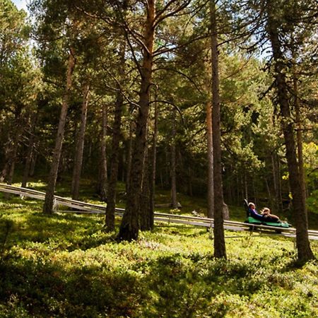 Apartamento Ribasol Vallnord En Arinsal Tintin Dış mekan fotoğraf