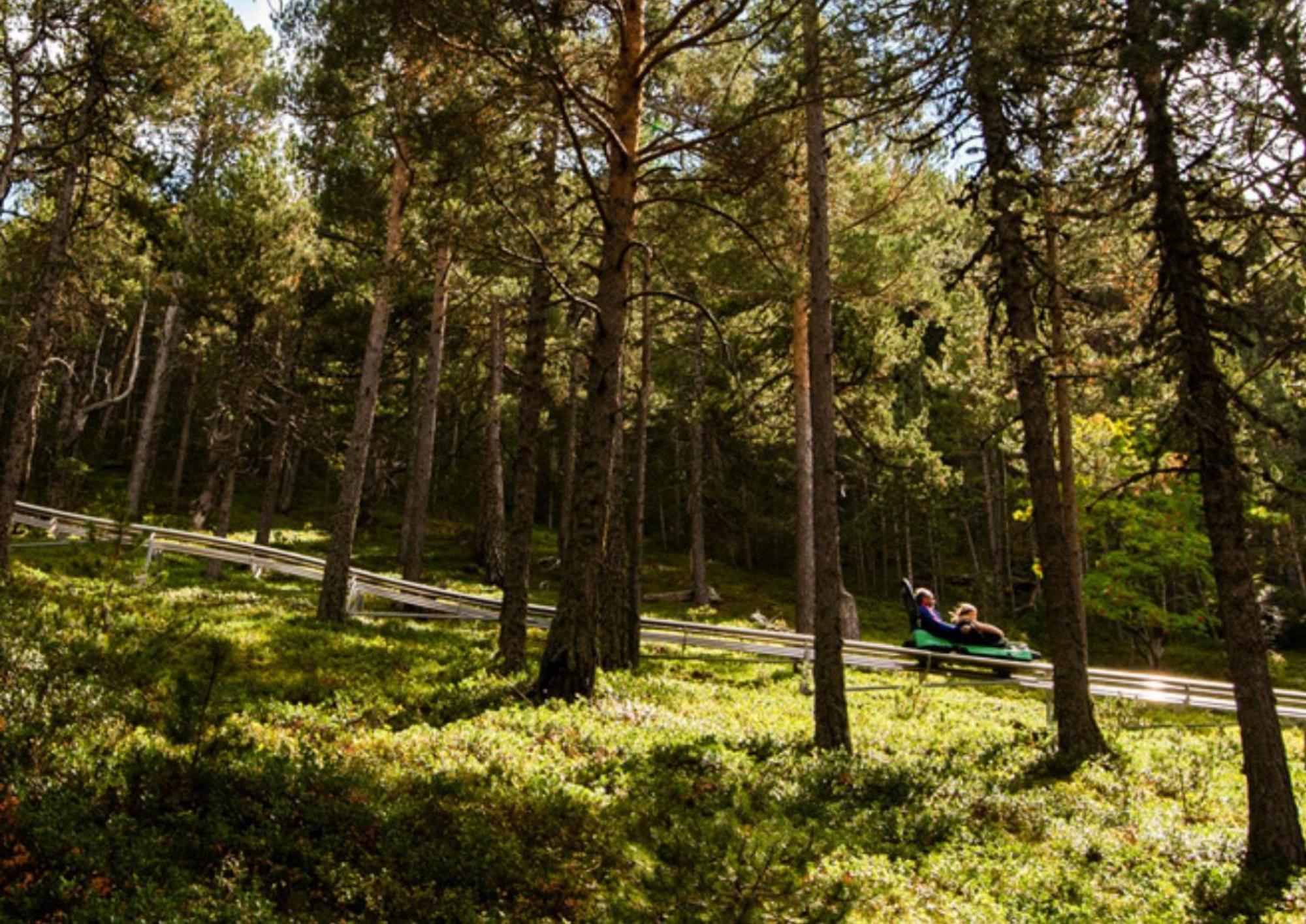 Apartamento Ribasol Vallnord En Arinsal Tintin Dış mekan fotoğraf